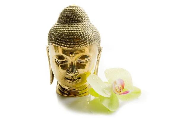 Buddha huvud — Stockfoto