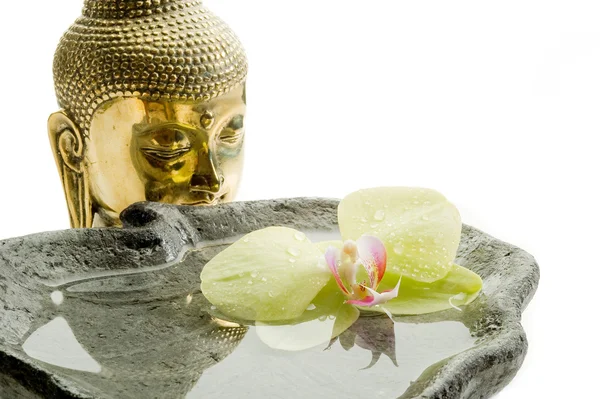 Buddha testa - concetto di spa — Foto Stock
