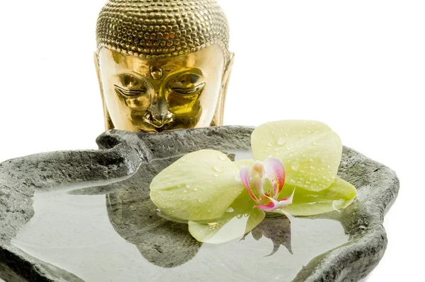 Buddha testa - concetto di spa — Foto Stock