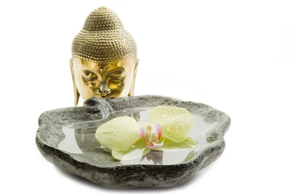 Buddha head - spa concept — Stock Photo, Image