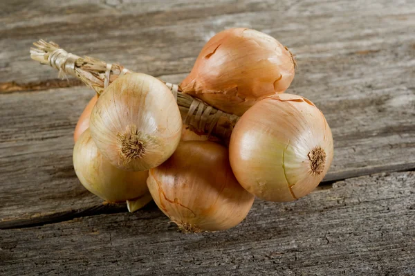 String of onions — Stock Photo, Image
