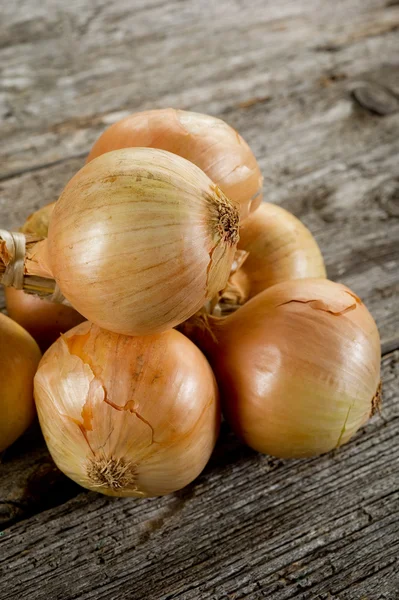 String of onions — Stock Photo, Image