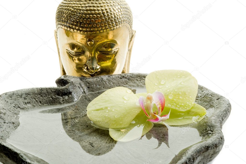 Buddha head - spa concept