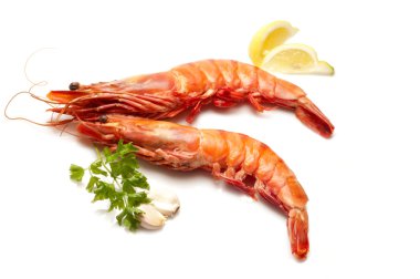 Giant shrimp with ingredients clipart