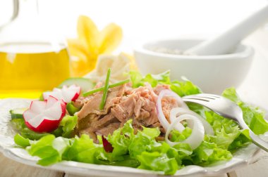 Tuna salad clipart