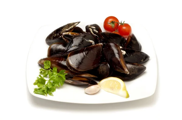 Mussel ready to cooking — Stock Photo, Image