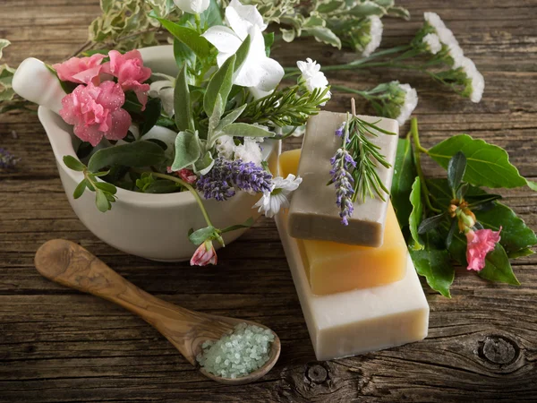 Természetes növényi termékek-spa kozmetikumok — Stock Fotó