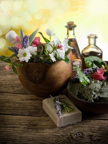 Natürliche pflanzliche Produkte-Wellness-Kosmetik — Stockfoto