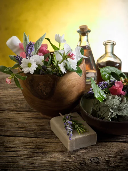 Produtos naturais à base de plantas-Spa cosméticos — Fotografia de Stock