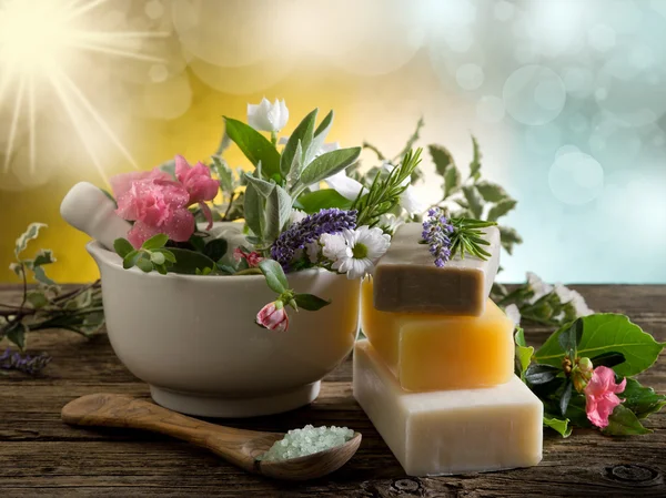 Kosmetyki naturalne ziołowe produkty spa — Zdjęcie stockowe