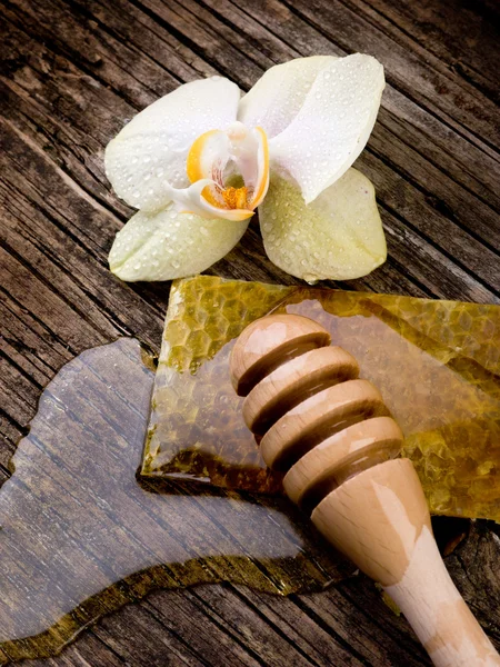 Honey with beeswax and flower — Stock Photo, Image