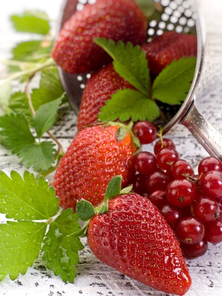 Strawberries and blackcurrant over wood — Stock Photo, Image