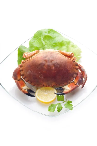 Crabe bouilli avec salade verte — Photo