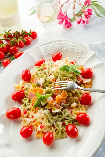 stock image Cold pasta salad