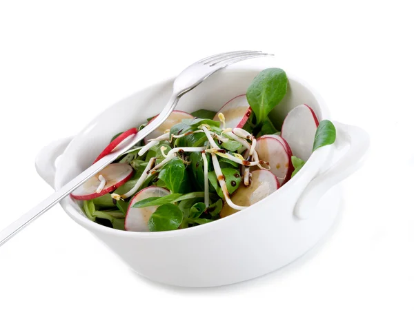 Mixed salad with soy sprout radis and balsamic vinegar — Stock Photo, Image