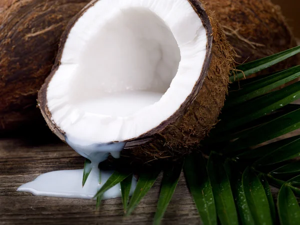 Ořechy kokosové mléko — Stock fotografie