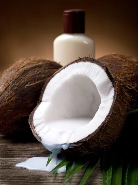 Walnoot kokosnoot zeep — Stockfoto