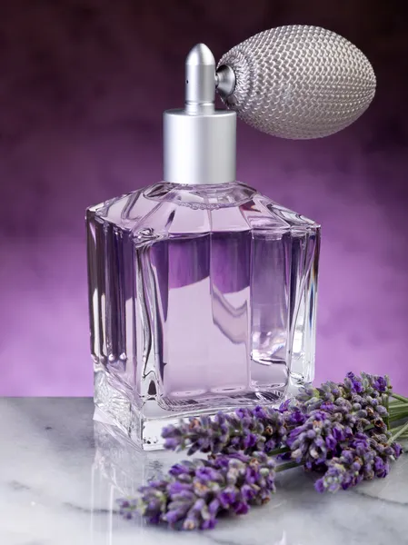 Lavender essence — Stock Photo, Image