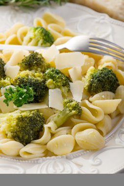 Orecchiette with broccoli on dish clipart