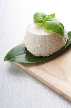 Ricotta tipik İtalyan taze peynir