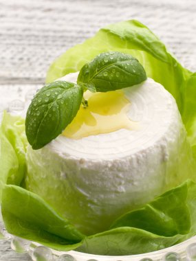 Ricotta fesleğen ve marul