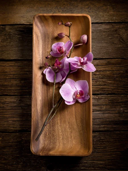 Concetto di spa orchidea su piatto di legno — Foto Stock