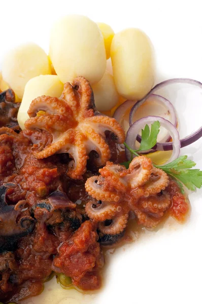 Octopus in guazzetto typisch Italiaans recept — Stockfoto