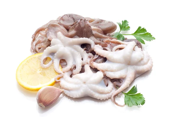Liten bläckfisk med ingredienser — Stockfoto