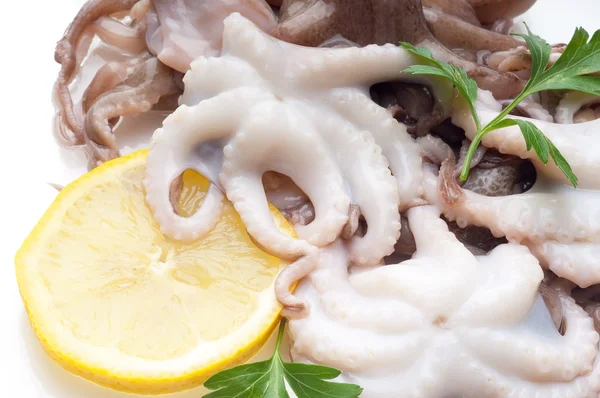 Little octopus with ingredients — Stock Photo, Image