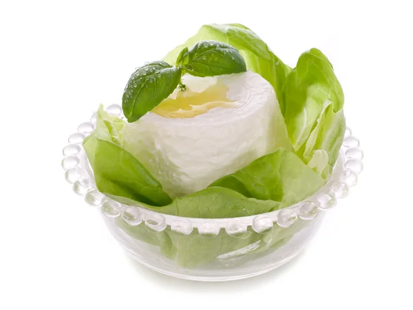 Ricotta mit Basilikum und Salat — Stockfoto