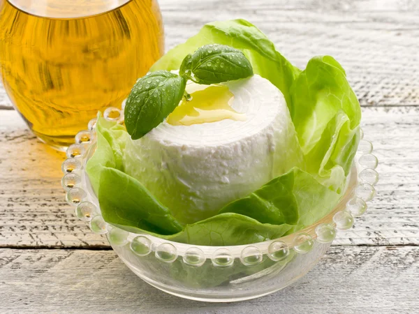Ricotta with basil and lettuce — Stock Photo, Image