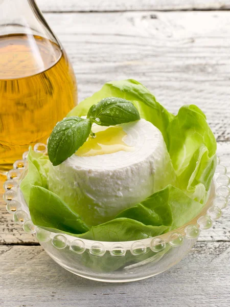 Ricotta mit Basilikum und Salat — Stockfoto