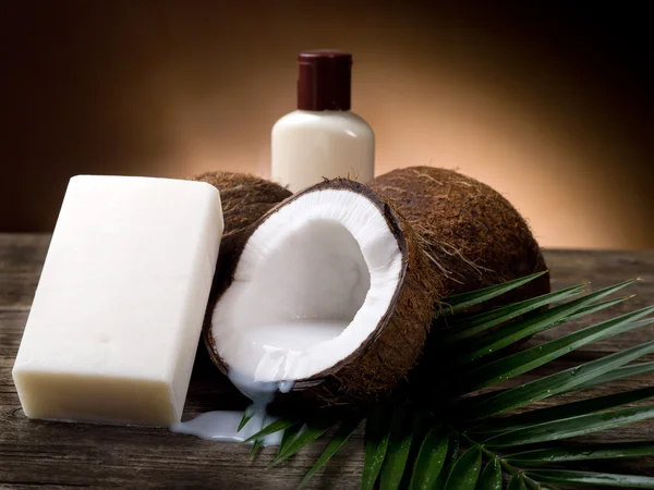 核桃椰子肥皂 — 图库照片