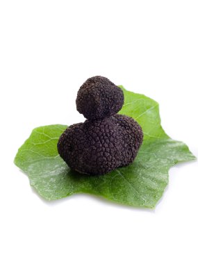 Yaprak Beyaz arka plan üzerinde siyah truffle