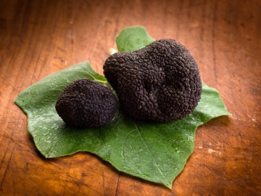 Black truffle over leaf on wood background clipart