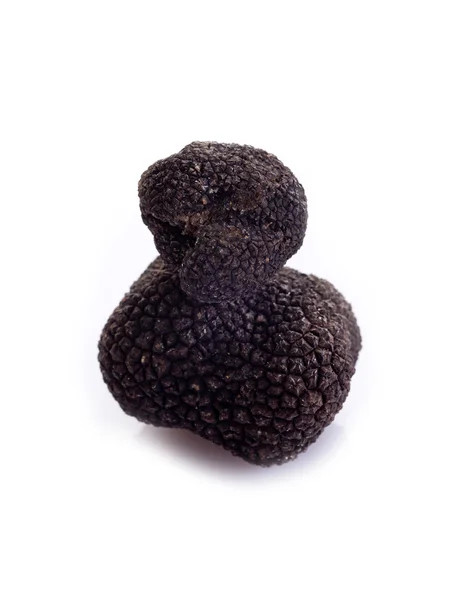 Black truffle on white background — Stock Photo, Image