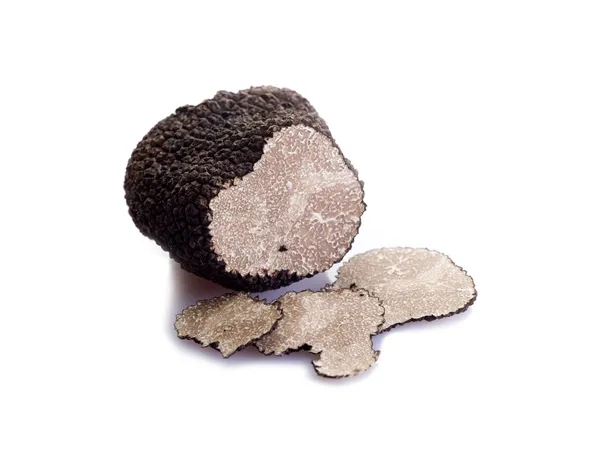 Tranche de truffe noire sur fond blanc — Photo