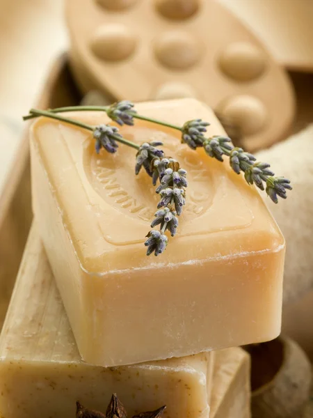 Natural soap Stock Image
