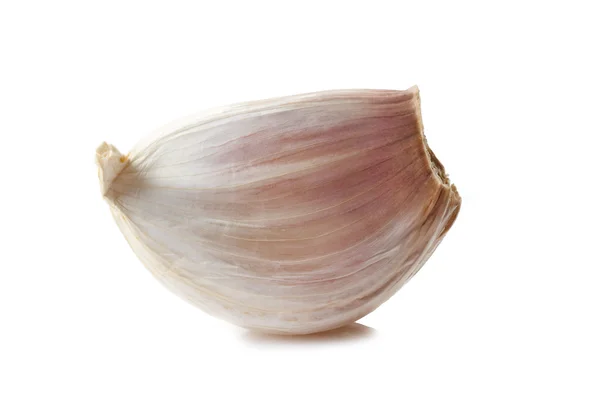 Stock image Garlic on white