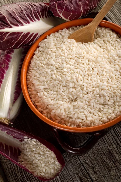 Achicoria de anchoa de arroz crudo —  Fotos de Stock