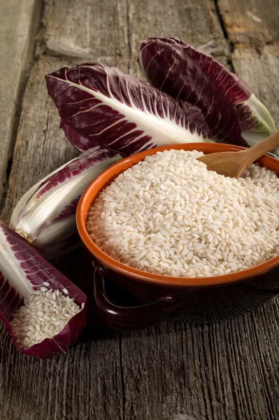 Achicoria de anchoa de arroz crudo —  Fotos de Stock