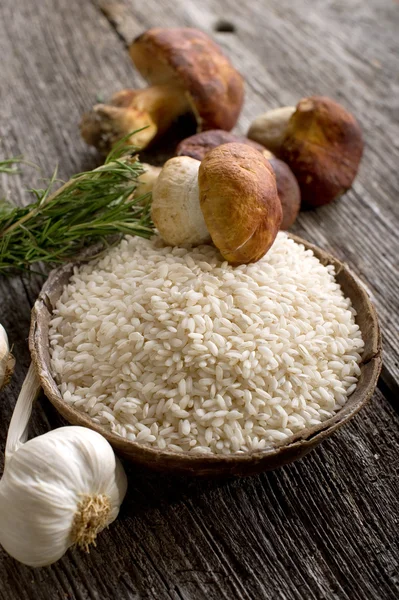 Rå ris och cep svamp — Stockfoto