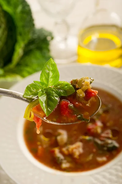 Zuppa di pomodori verdure — Foto Stock