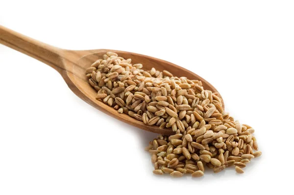 白い背景の上にスペルト小麦 — ストック写真