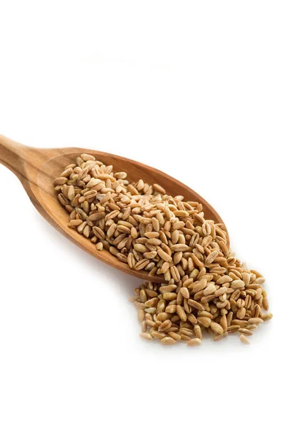 白い背景の上にスペルト小麦 — ストック写真