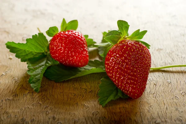 树背草莓 — 图库照片