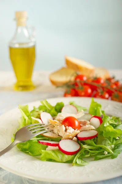 Green salad with chicken and radish — Stock Photo, Image