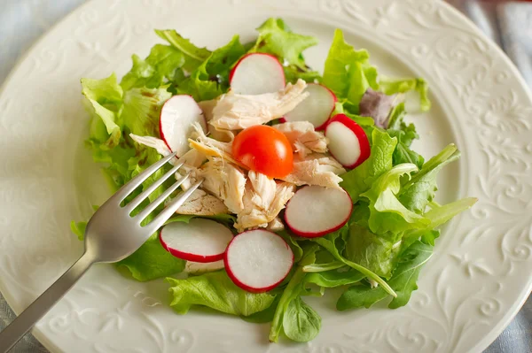 Grüner Salat mit Huhn und Rettich — Stockfoto