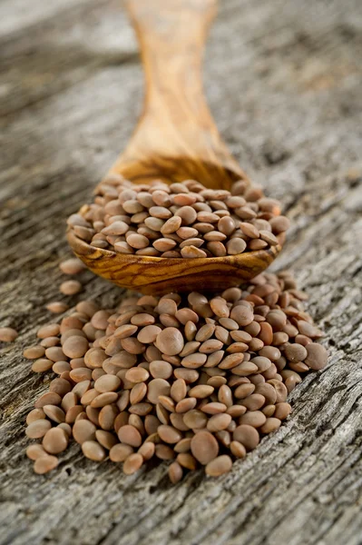 Ropy surowej soczewica lenticchie — Zdjęcie stockowe