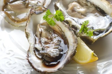 Fresh french oyster clipart